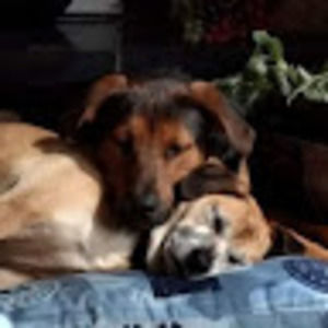 Meet your Posher, Terrie